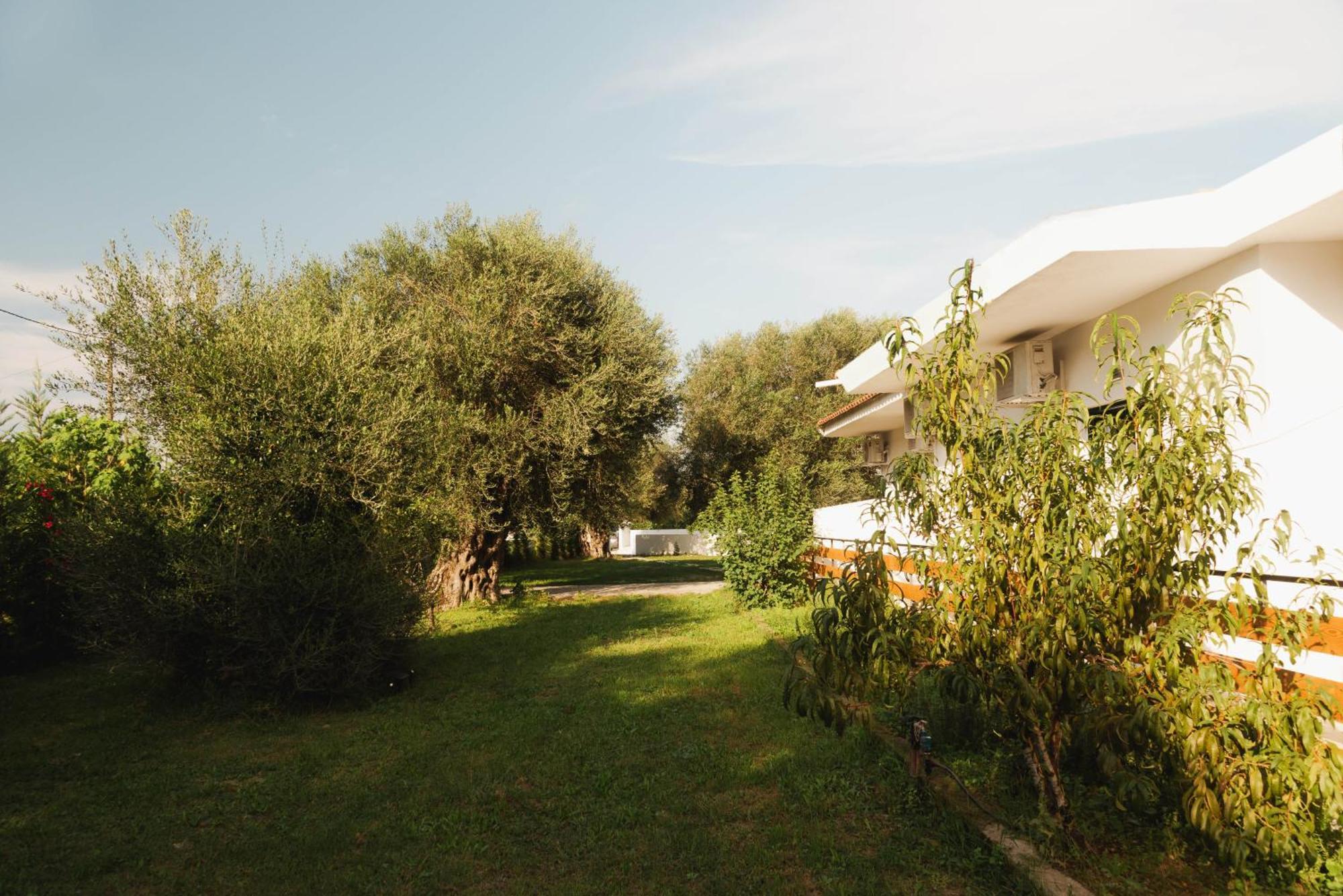 Olive Grove Suites Boutique Hotel Moraḯtika Buitenkant foto