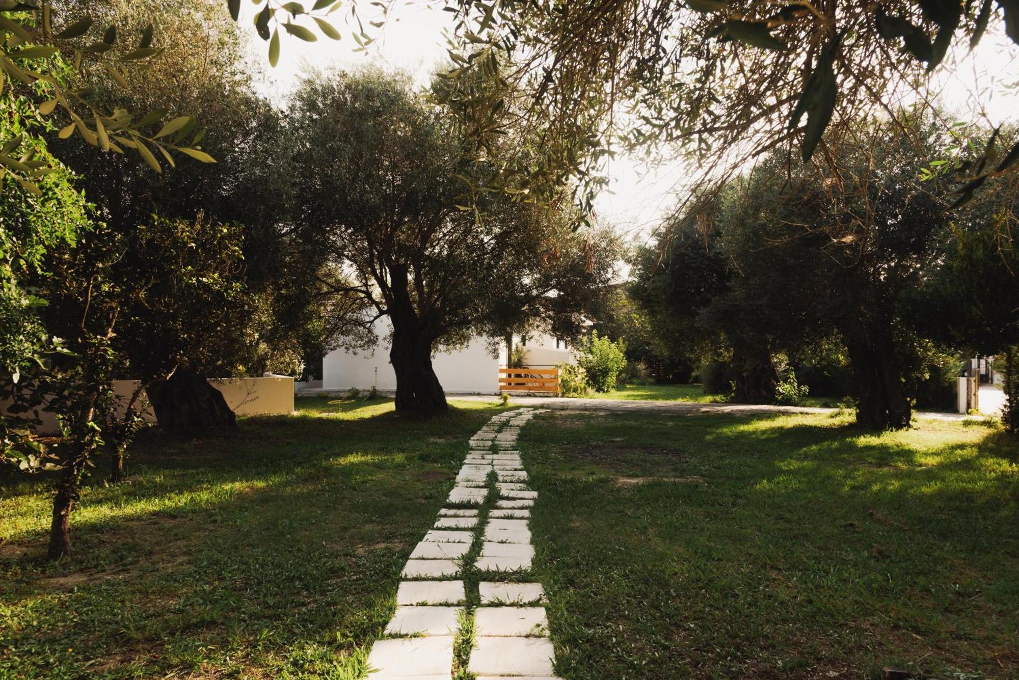 Olive Grove Suites Boutique Hotel Moraḯtika Buitenkant foto