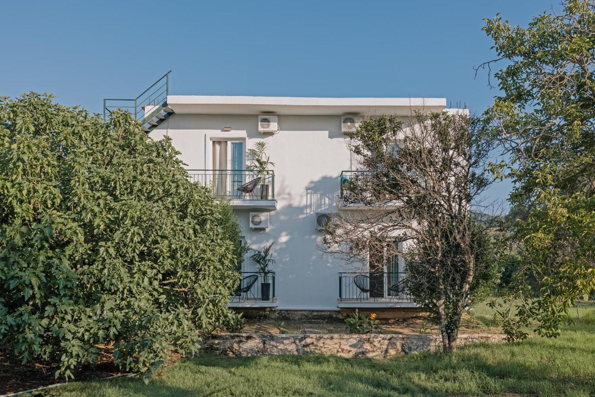 Olive Grove Suites Boutique Hotel Moraḯtika Buitenkant foto